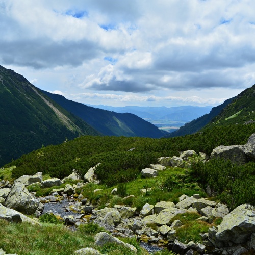 Příroda