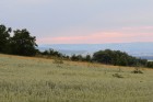 DSC_0081.JPG
