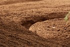 Vranov16-42201.JPG
