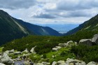 priroda-05.jpg