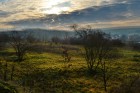 priroda-08.jpg