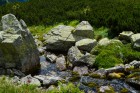priroda-26.jpg