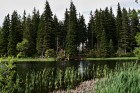 priroda-36.jpg