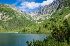 priroda20-08.jpg