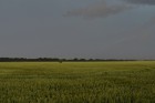Bohemka16-26358.jpg
