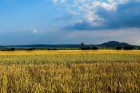 Hustopece18-26.jpg