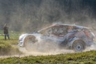 RallyeW4_18-42.jpg