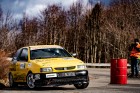 komvet0222-04.jpg