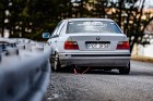komvet0222-16.jpg