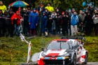 cer23-15.jpg