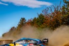 herbst23-01.jpg