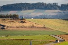 herbst23-39.jpg