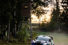 herbst23-53.jpg