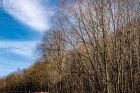 komvetxii23-41.jpg
