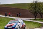kraliky23-05.jpg