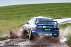 kraliky23-07.jpg