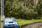 kraliky23-19.jpg