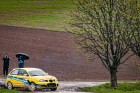 kraliky23-50.jpg