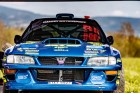 kraliky23-60.jpg