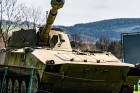 kraliky23-72.jpg