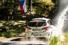 pacejov25-16.jpg