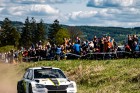 sumava25-22.jpg
