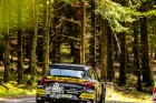 sumava25-57.jpg