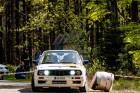 kraliky25-04.jpg