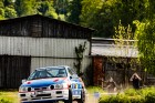 kraliky25-11.jpg