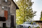 kraliky25-23.jpg
