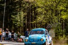 kraliky25-25.jpg