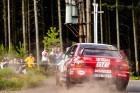 kraliky25-38.jpg