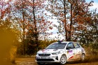 herbst26-17.jpg
