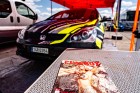 pribram26-10.jpg