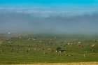 miriquidi26-18.jpg